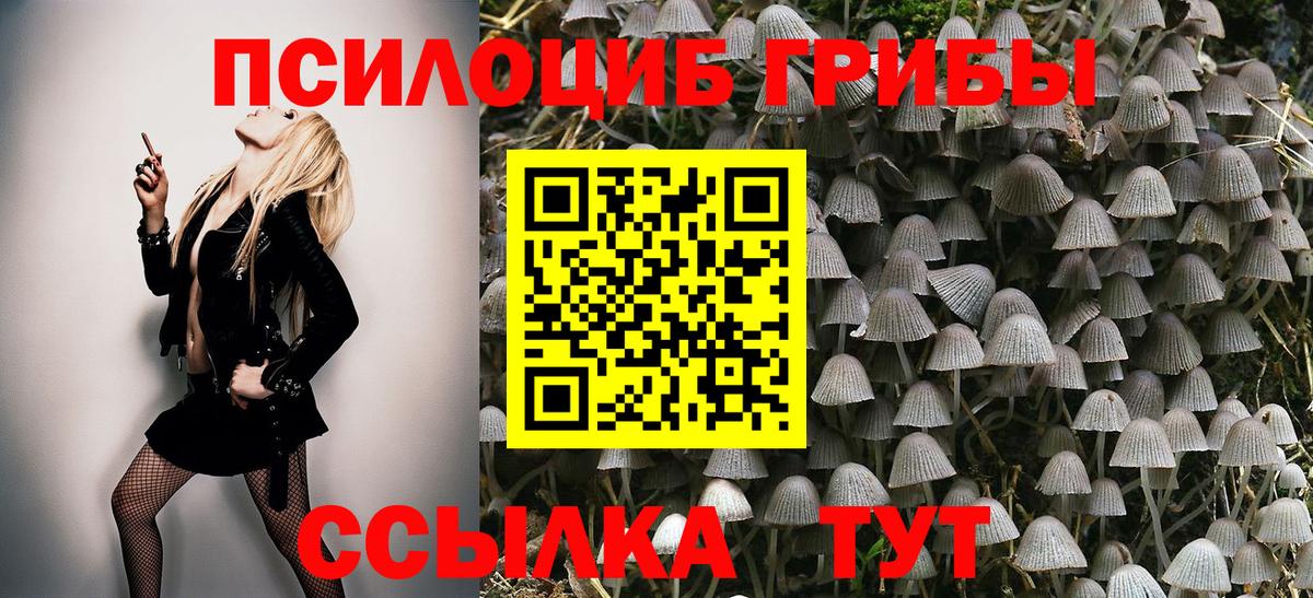 Псилоцибиновые грибы прущие грибы  Вход с VPN  Новороссийск 